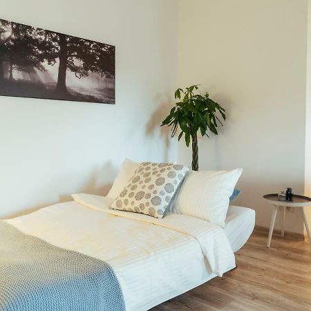 Bright And Spacious Central Apartment- Piata Amzei Βουκουρέστι Εξωτερικό φωτογραφία
